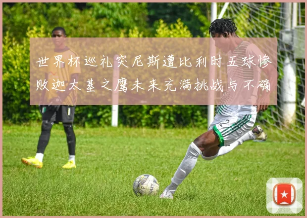 世界杯巡礼突尼斯遭比利时五球惨败迦太基之鹰未来充满挑战与不确定性